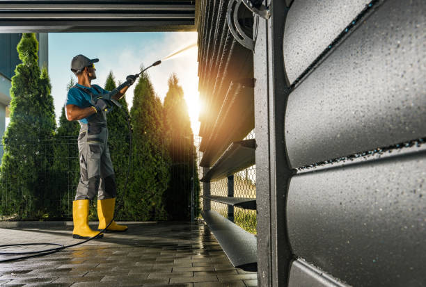 Best Gutter Cleaning  in Burnt Mills, MD