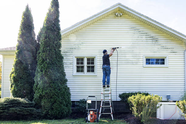 Best Solar Panel Cleaning  in Burnt Mills, MD
